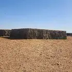 مخلوط اعلاف