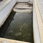 مسبح فيبر 8 3