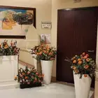 كوشات مداخل وطاولات حلا