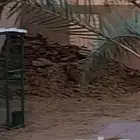 سماد غنم قديم مجانا