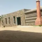 تلبيس حجر