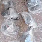 هونداي النترا اكسنت سوناتا