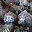 اخصائي قيرات مكاين دبلات مستورد وشد بلد