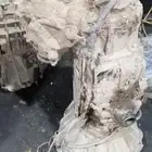 قير صالون جيب لاند كروزر شد بلد