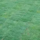 ثيل الخرج سي 2000