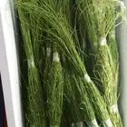 مرخ