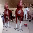 ديكورات فيبر جلاص