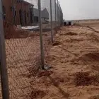 تكريب نخيل