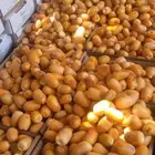 تمر رطب جمله