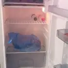 جيزان