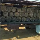 خلايا نحل بلدي للبيع مع عربياتها