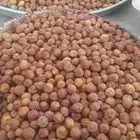 دوم نبق العبري سدر بالكيلو مجفف وطازج