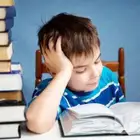 معلم متابعة جميع المواد
