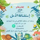 استضافه الامل منزليه