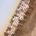 حلق غنم مكينا