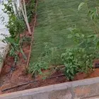 تنسيق حدائق