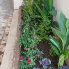 تنسيق حدائق
