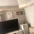 خيمة ملكية بالأثاث للبيع