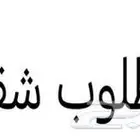 احتاج شقة للايجار