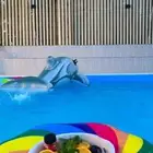 استرحات للايجار استرحه غلا