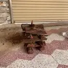 حطب قرض افريقي