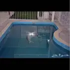 مسبح