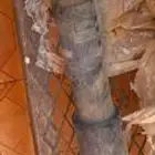 عمود الدوارن مرسيدسS وكاله يركب من 2007 إلى 2013