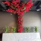 شجر سنايع ورد أي نوع فصل انشاءالله