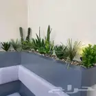 شجر صناعي تنسيق أي مناطق