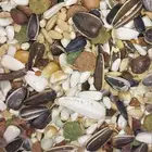 جميع أعلاف الطيور والببغاوات