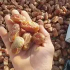 يتوفر لدينا رشوديه وصقعي ومجدول وخلاص
