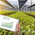 دراسة جدوى و استشارات مشاريع زراعية
