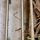 دعامة عزبه تركب ل f150والسيرا