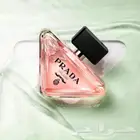عطر برادا الجديد حصري