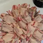 حمام فرنسي زغاليل