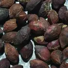 لوز بجلي للبيع