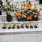 منسق ورد احترافي تنسيق شبكات حسب الطلب ومسكات عروس وحفلات