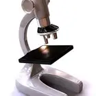 معلم تأسيس ومتابعة ورياضيات