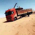 تريلاه نقل البل الى جميع منطق المملكه