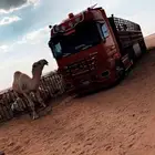 تريلا نقل ابل