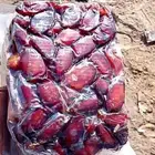 اخلاص منسم يوجد حملة تريله من حق هاذه الموسم الجديد اسعر 7ري