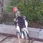 للبيع ديكين شانجره