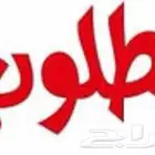 مطلوب ارض محوشه بعداد للإيجار