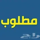 مطلوب قط للتبني