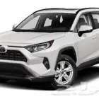 مطلوب رافور 2019