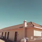 البيت شعر