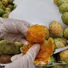 برشومي درجة أولى