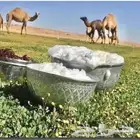 حليب أبل طااازج سكر خلفات .. توصيل داخل جدة لحد البيت