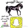 عروض تعليم الفروسيه بالخبر تعال وشوف 