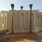 زراعت انخيل